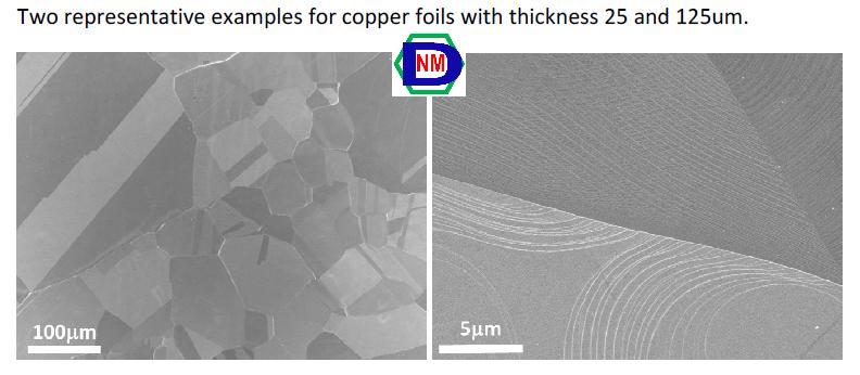 SEM of graphene on Cu