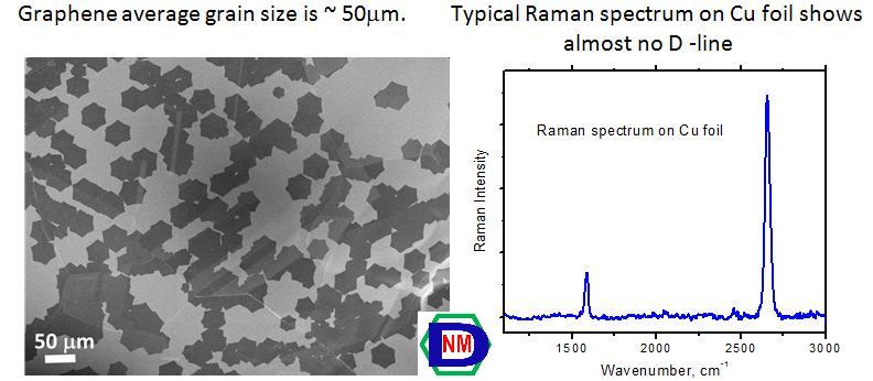 SEM and Raman of graphene on Cu